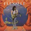 Steve Vai "Flex-Able"