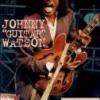 Johnny Guitar Watson "In Concert"